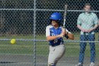 Softball vs Babson  Wheaton College Softball vs Babson College. - Photo by Keith Nordstrom : Wheaton, Softball, Babson, NEWMAC